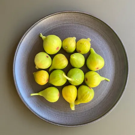 Bed & Breakfast Le Secret Du 3*